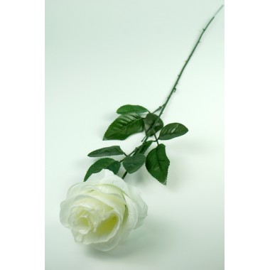 Роза одиночная "Клементина", ЦС146б-0