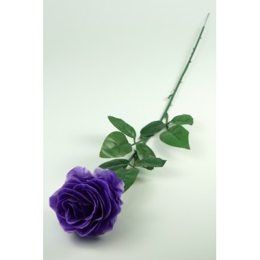 Роза одиночная "Клементина", ЦС146чернильный-0