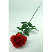 Роза одиночная "Клементина", ЦС146к