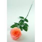 Роза одиночная "Клементина", ЦС146перс