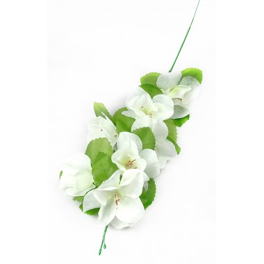 Ветка яблони ВС016-1мол-0