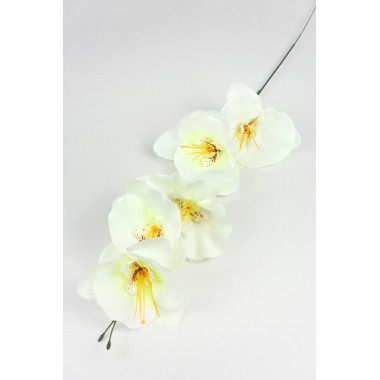 Ветка орхидеи ВС128мол-0